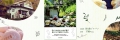 JOCAオーガニックコスメ・セラピストの水町三穂さんが、 単行本「アート手ごね石けんと森の暮らし」（を出版しました。 出版社　BABジャパン　　　定価　１７８０円（税込）